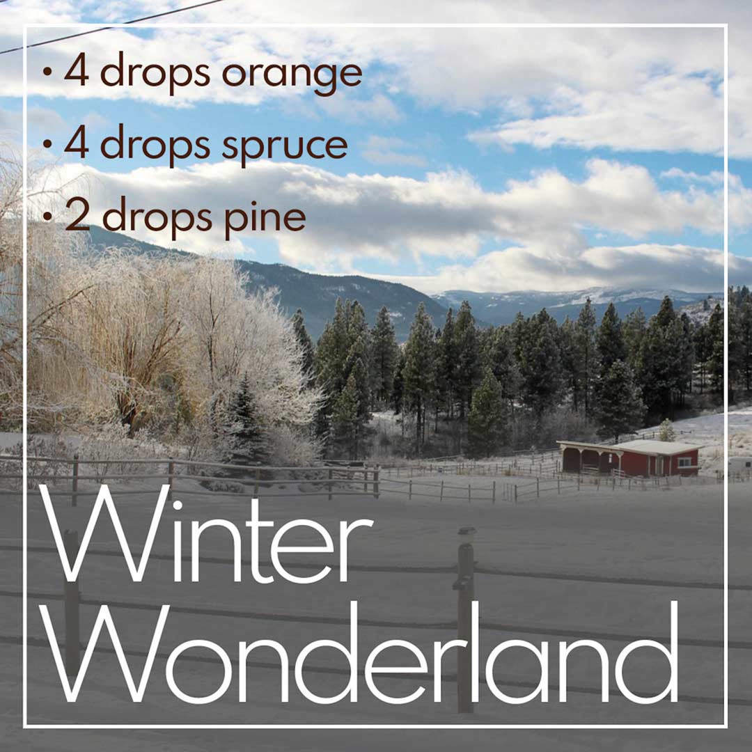 Winter diffuser recipe called Winter Wonderland. Use 4 drops orange, 4 drops spruce, and 2 drops pine.