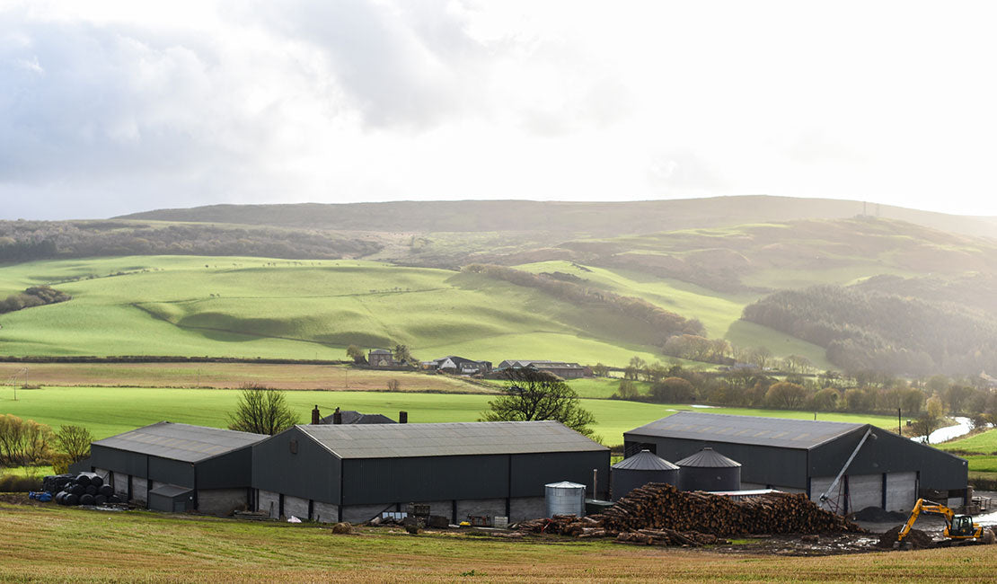 Robstone Farm, Girvan, Ayrshire