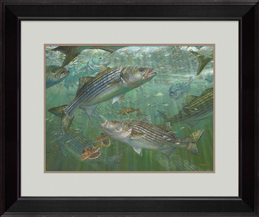 Decisions-Striped Bass Art Collection – Wild Wings