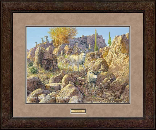 Framed Premium Print Crossing the Ridge - Mule Deer by Rosemary