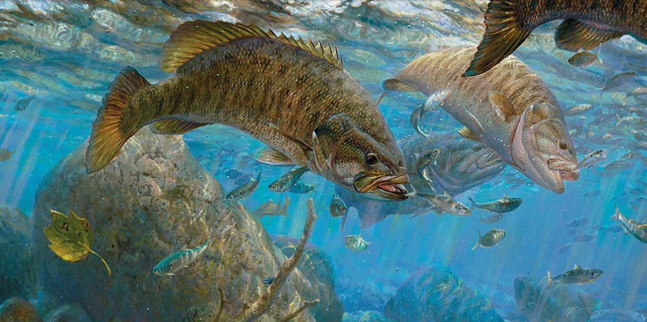 Fishing Art For Anglers – Wild Wings