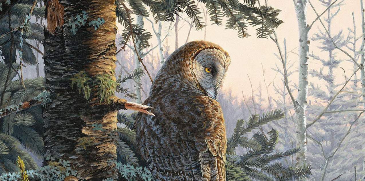 Wise Owl Art You'll Love