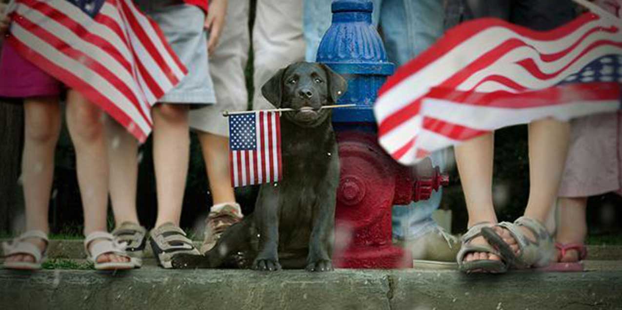 Patriotic Decorations For Your Home