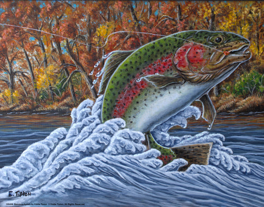 Baetis Feast-Rainbow Trout Art Print Collection – Wild Wings