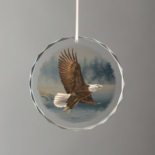 Bald Eagle Flying Bent Wing - Art Prints – Wild Wings