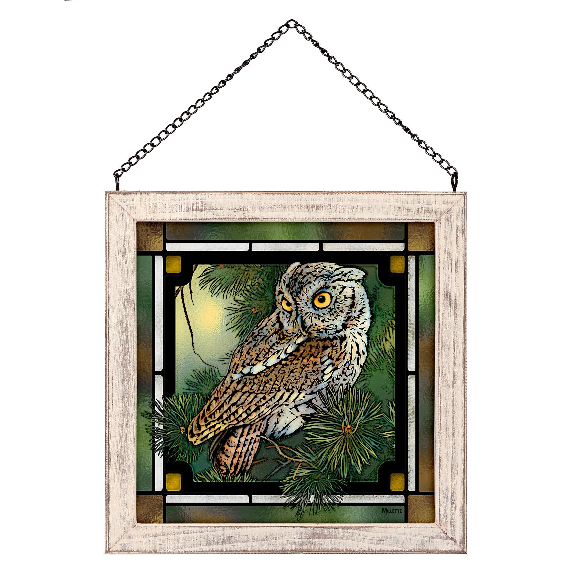 Screech Owl