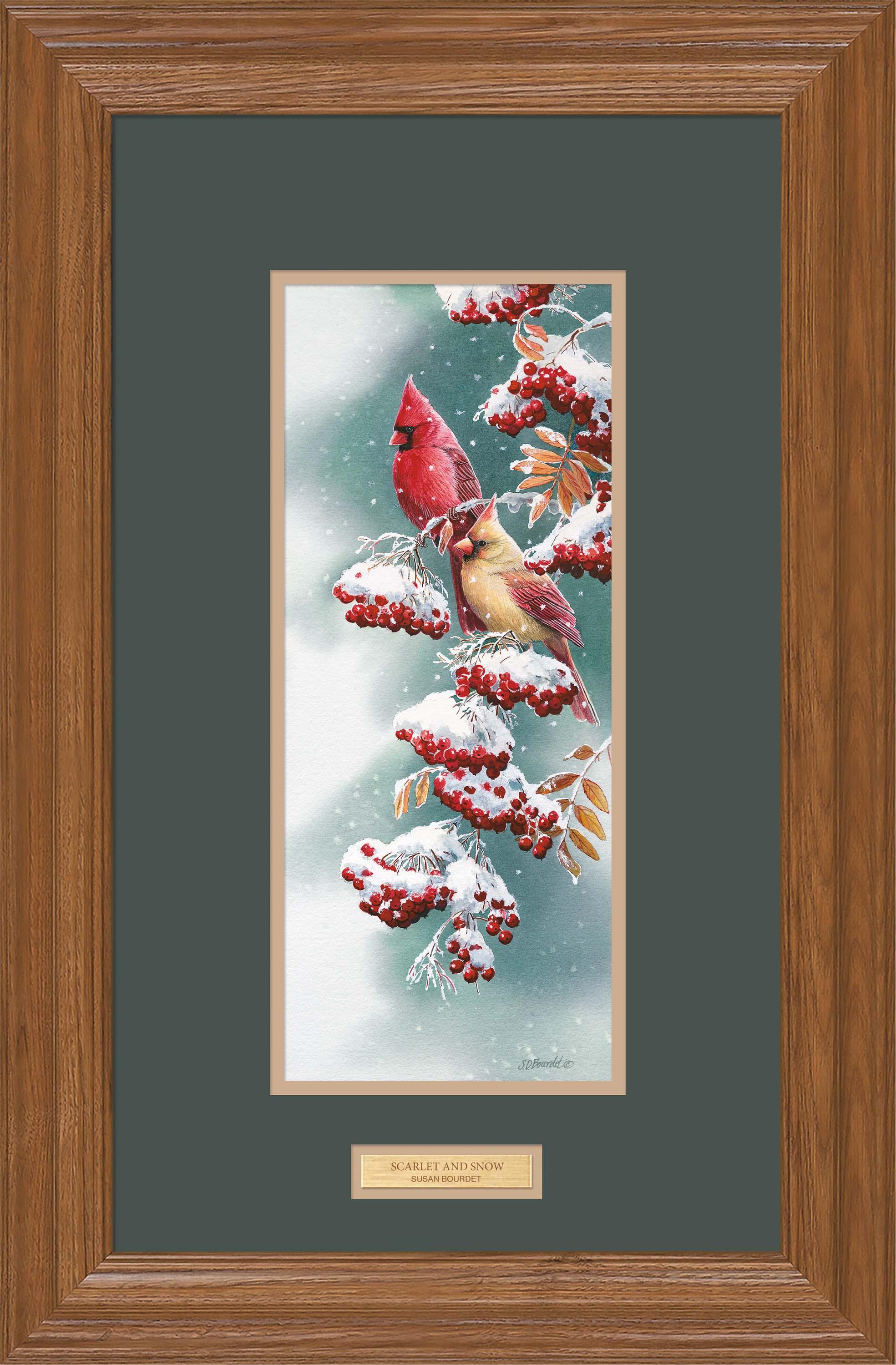 Scarlet & Snow—Cardinals | Wild Wings.