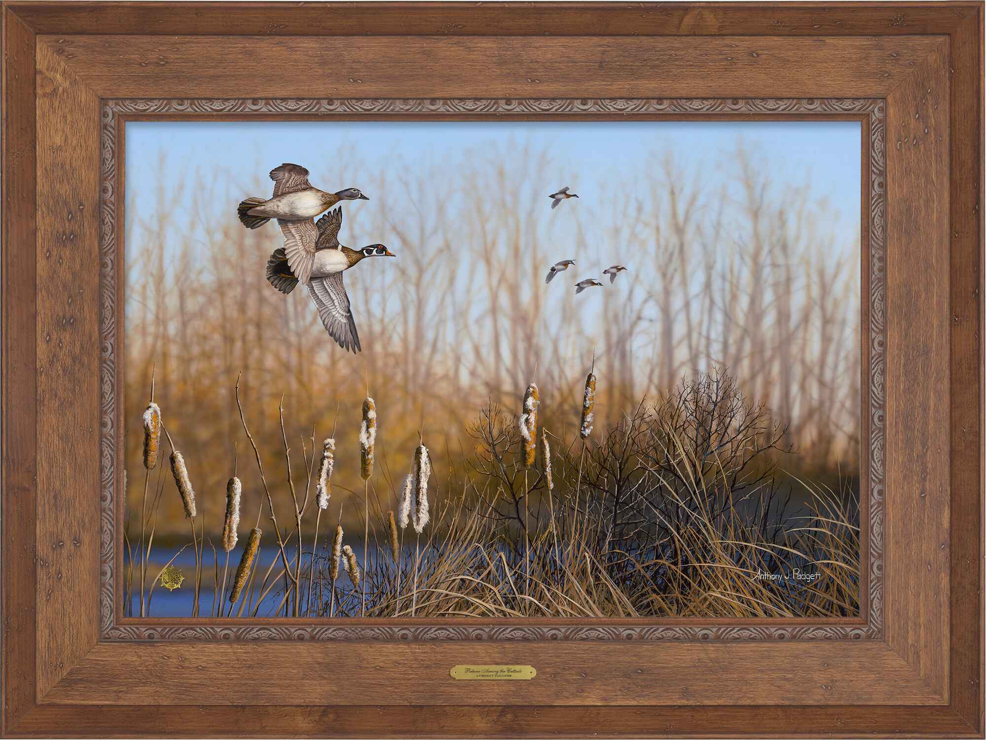 Image of Return Among the CattailsWood Ducks; Artist Proof Edition (AP)