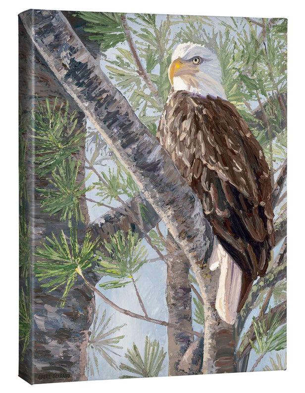 American Bald Eagle on a Branch – Canvas Art Plus