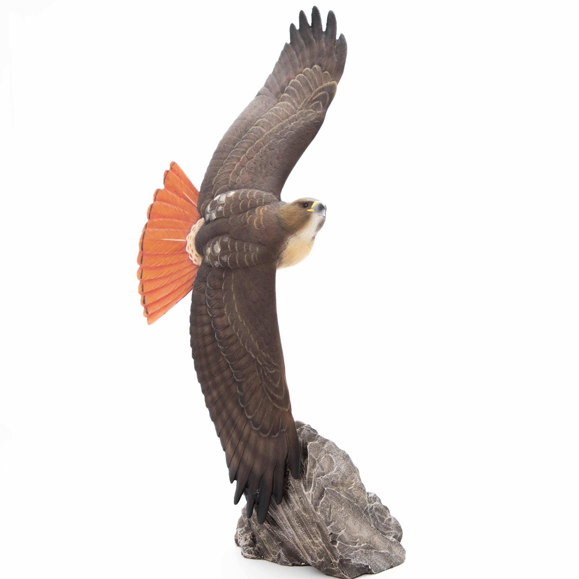 lækage Doktor i filosofi Amfibiekøretøjer Soaring Red-tailed Hawk Sculpture