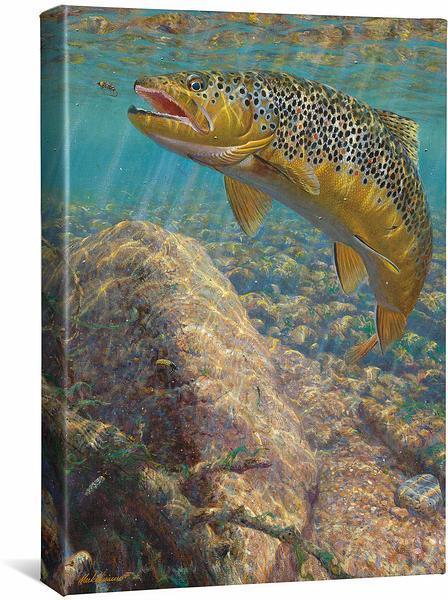 Hunting the Hunters-Brook Trout Gallery Wrapped Canvas – Wild Wings