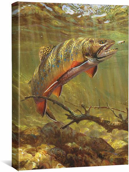 Trout Artwork - Wall Art & Canvas Prints of Fish - Wild Wings