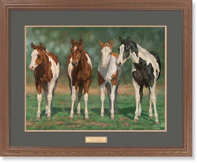Pint—sized Paints—Horses | Wild Wings.