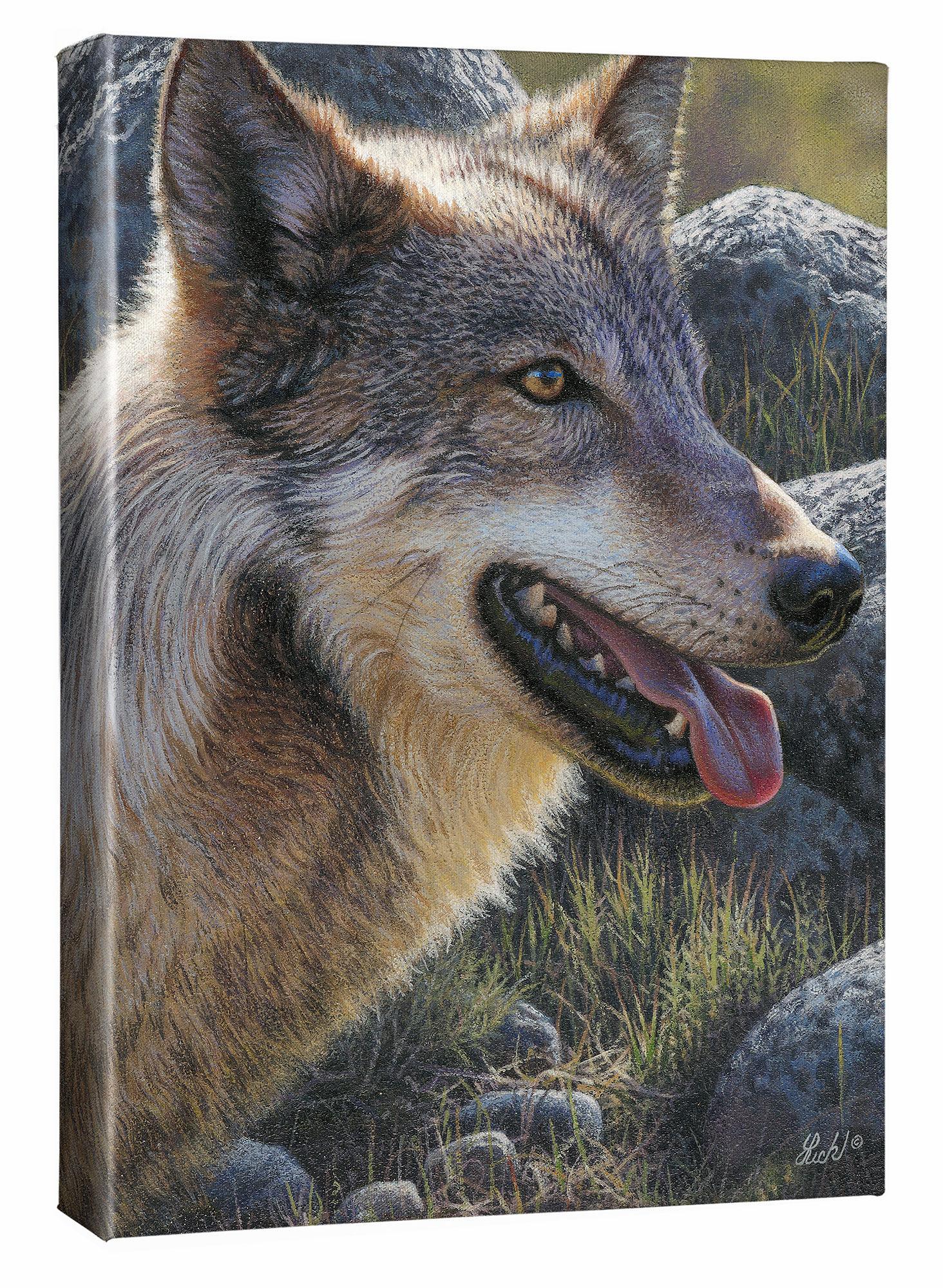 No Tresspassing-Wolf Wrapped Canvas Shadowbox – Wild Wings