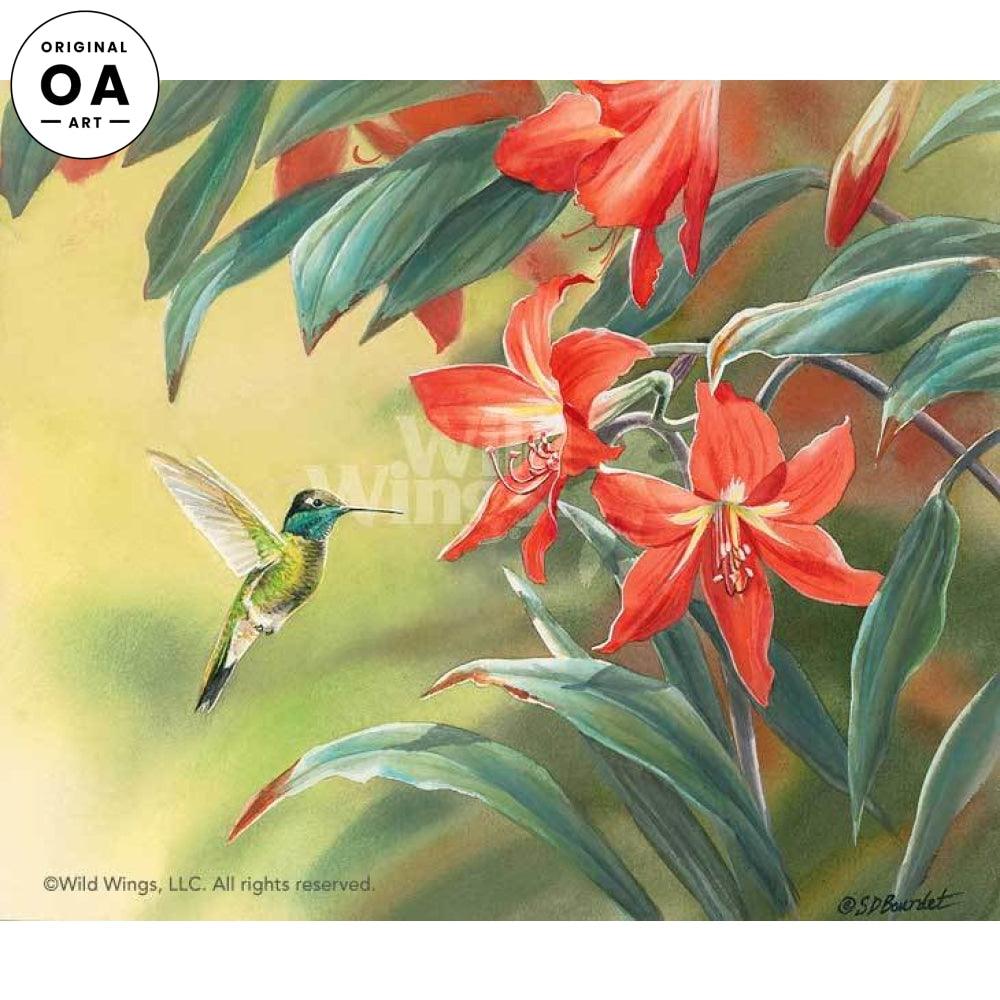 Tropical Flavor—Hummingbird | Wild Wings LLC.