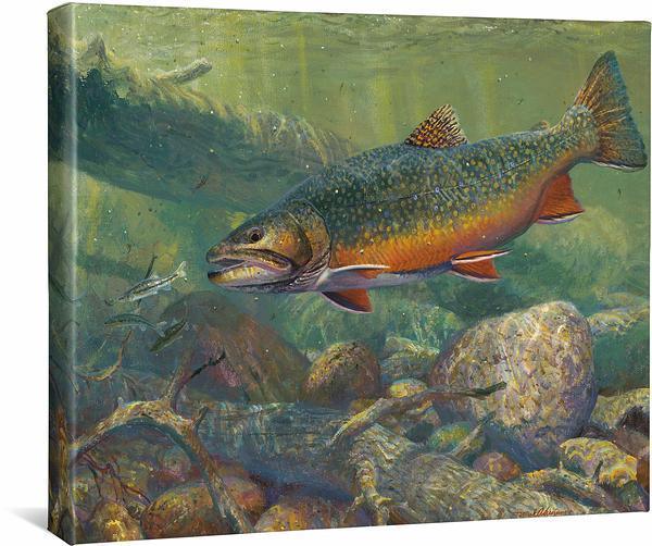 Set of Four Trout Fish Prints With Black Frame - Woodwaves