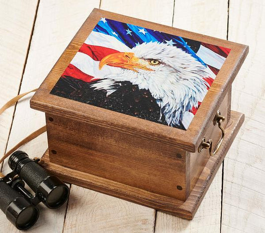 Awakening-Bald Eagle Gallery Wrapped Canvas – Wild Wings