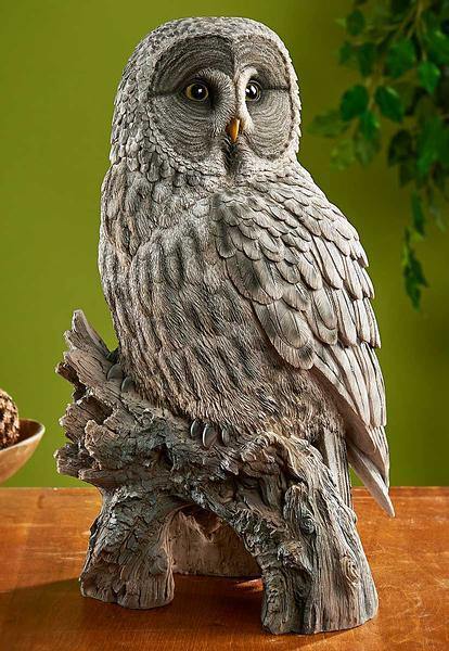 Image of Gray Owl