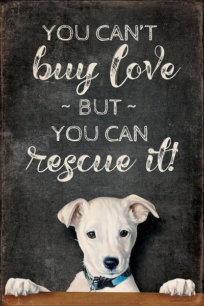 You Can T Buy Love Dog 12 X 18 Wood Sign