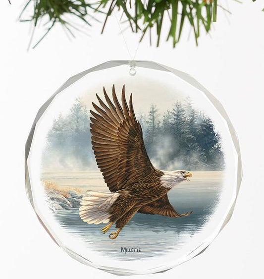 Sky Dancers-Bald Eagle Framed Limited Edition Print – Wild Wings