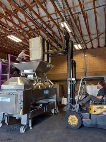 Unloading grapes