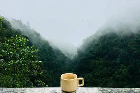 Tea Time Bliss - A Perfect Tea Sanctuary
