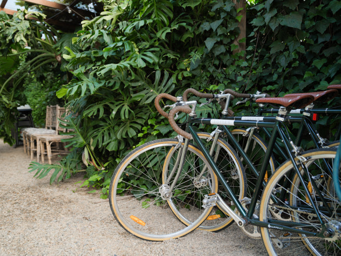 Bikes at Lotte's Hjem