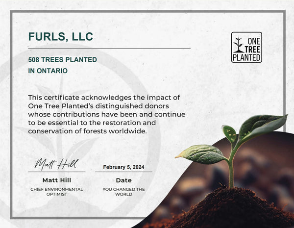 One Tree Planted Certificate from January 2024