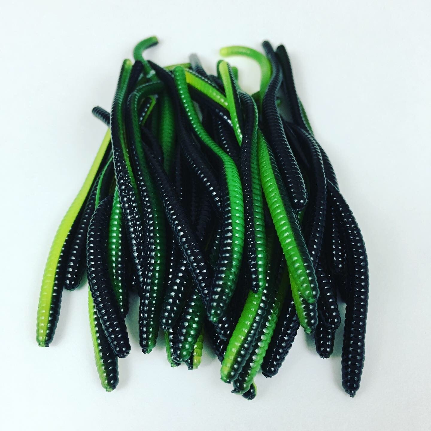 Trout Worms: Green Leech