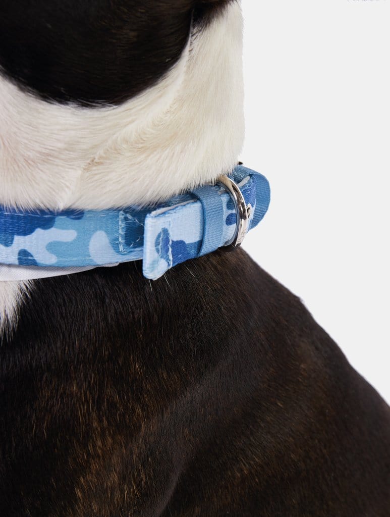 Pastel Blue Camo Printed Pet Collar, M