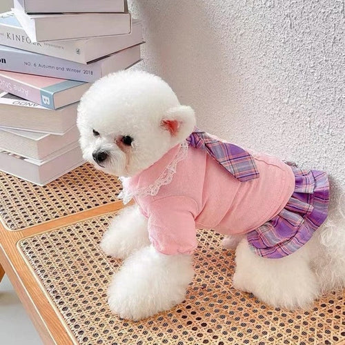 Dog Knitwear Sweater Dress With Bowtie LawrenceMarket