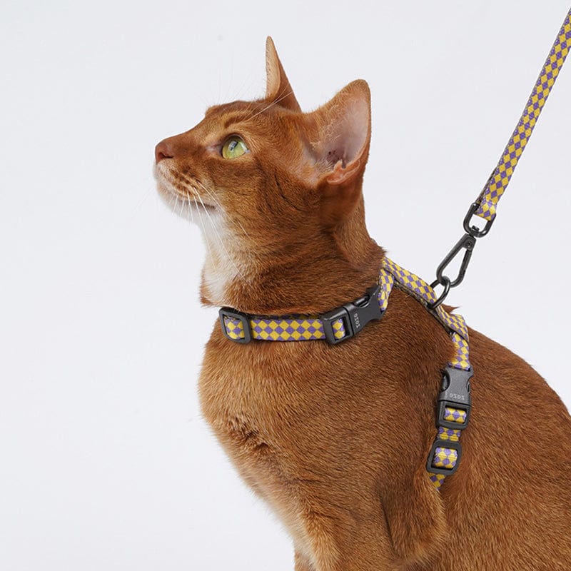 Halter Cat Harness Set LawrenceMarket