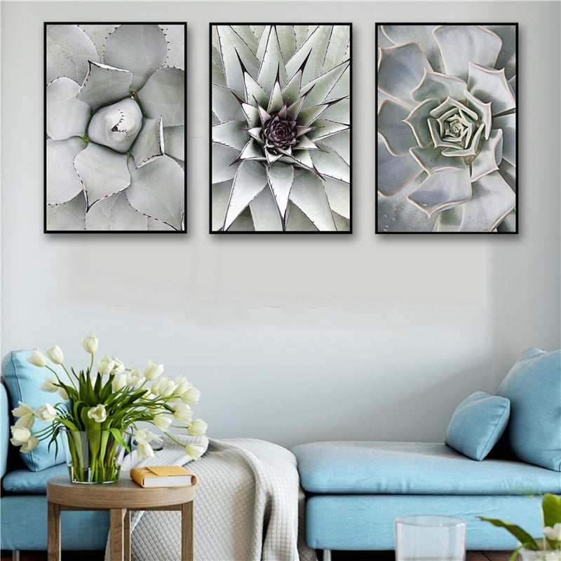 Botanical Photography Succulent Wall Art Canvas Prints Cactus Canvas The Lola Lou Company