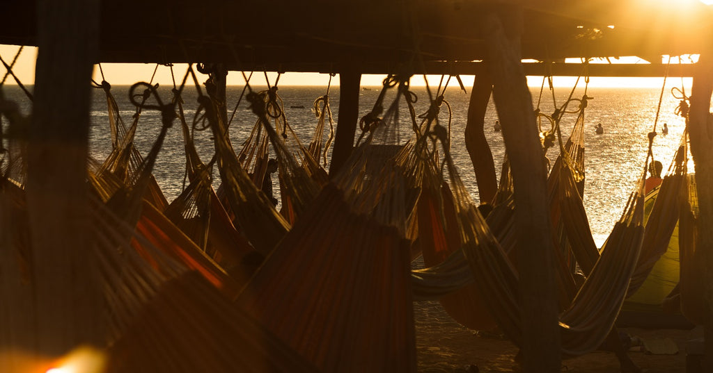 dozens of hammocks hang to the dock using knots
