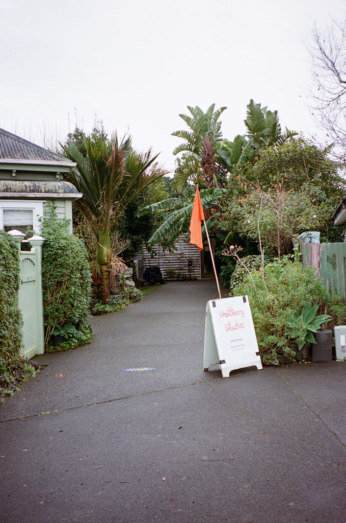 We bought our home when my son was little. It used to be owned by a guy who worked in carnivals, so there was this marvellous huge tin shed that at the time, was full of circus paraphernalia. It had a big back yard with one tiny borer ridden orange tree in the middle of it.