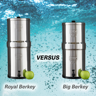 royal berkey vs big berkey
