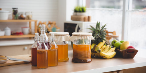 Berkey Water Makes Better Kombucha 