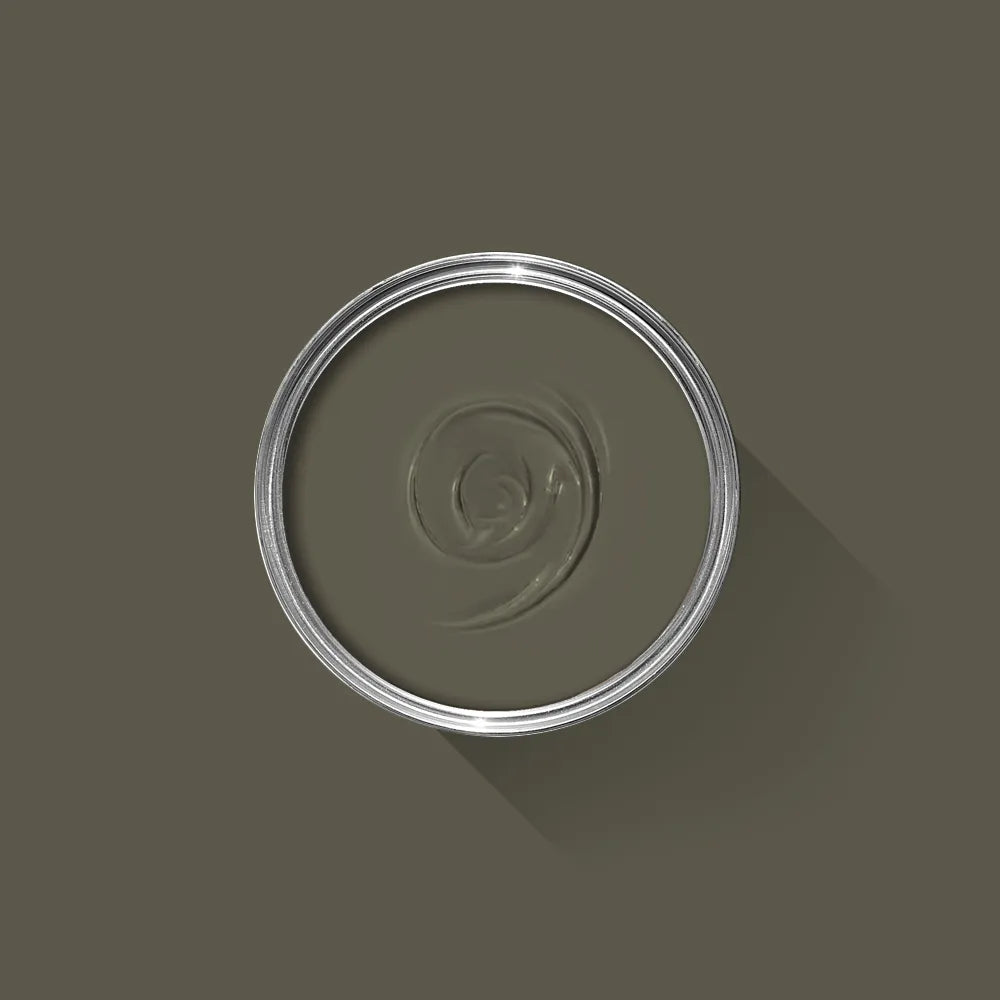 Farrow & Ball Reduced Green NO.313 π Free Shipping! (NEW COLOUR)