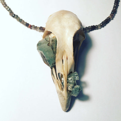 Aquamarine bird skull necklace for Salicrow