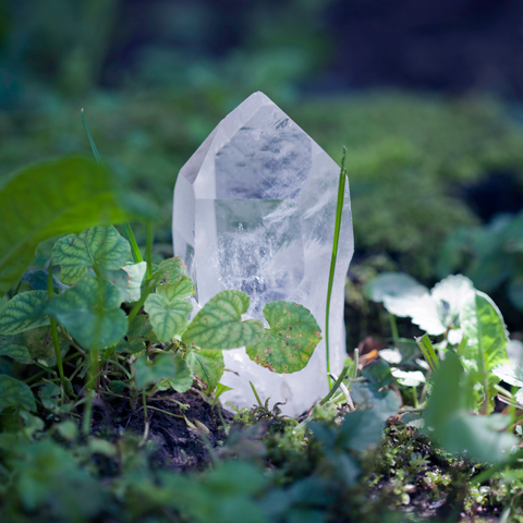 Quartz Crystal in Nature