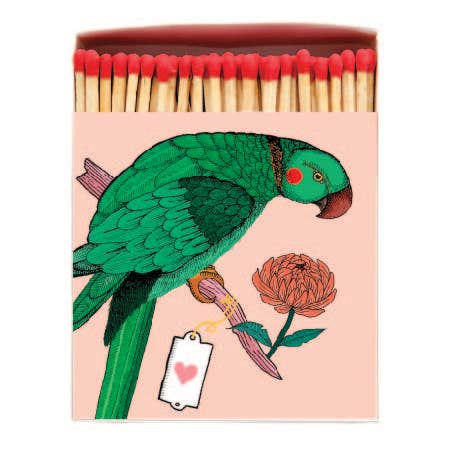 Parrot Match Box