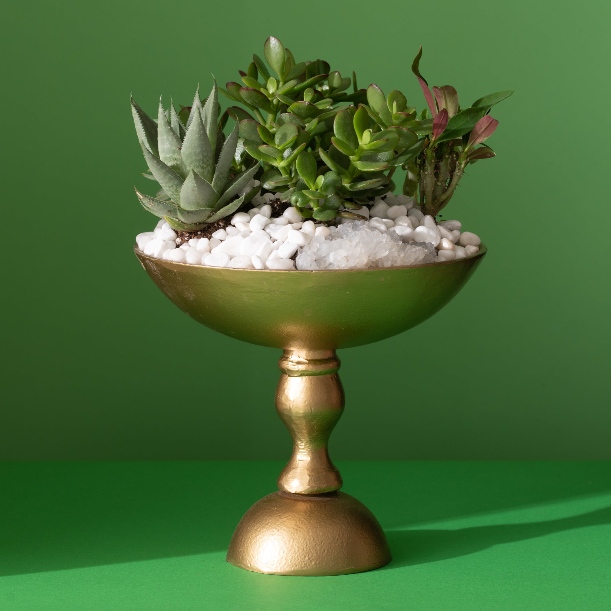 Golden Pedestal Succulent Planter