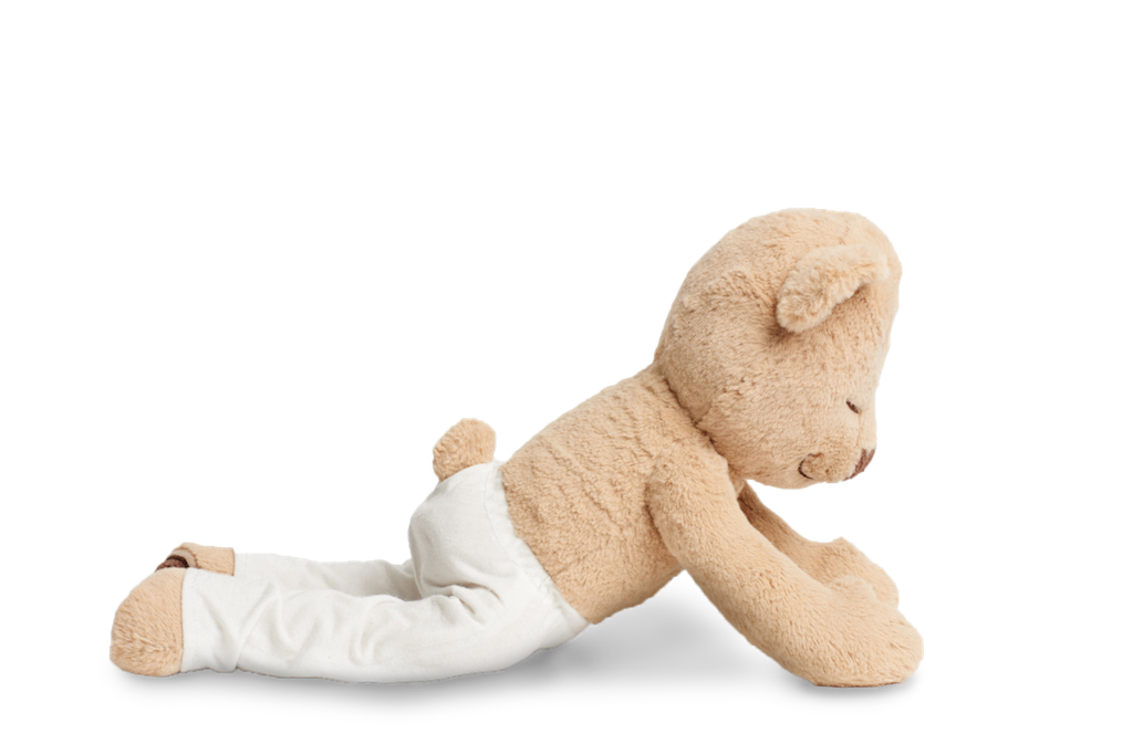 Learn How To Do Cobra Pose Meddy Teddy