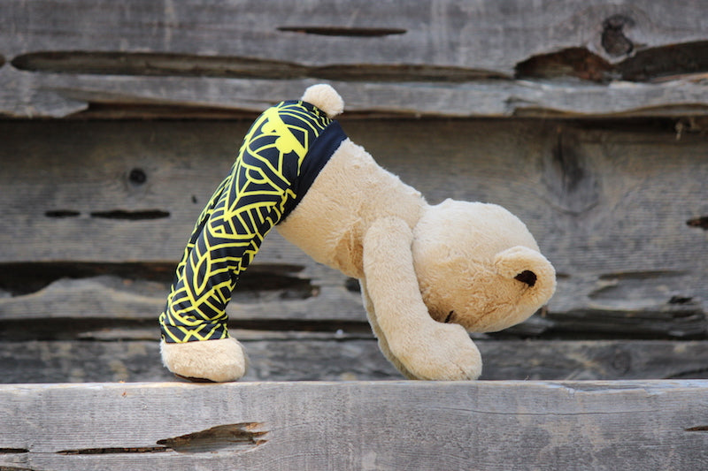 How to Do Downward Facing Dog with Meddy Teddy