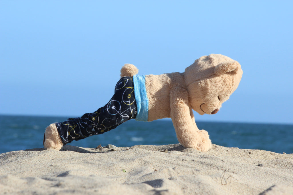 How to Do Plank Pose with Meddy Teddy