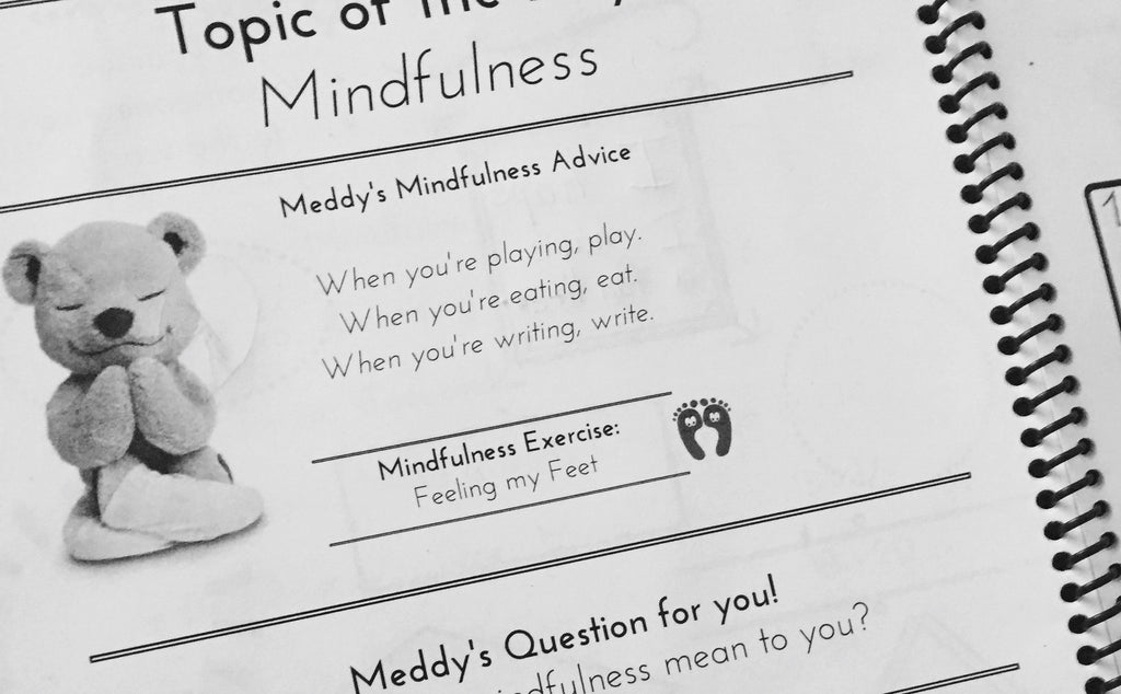 meddy teddy's mindful workbook