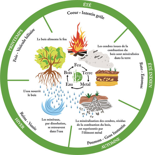 Les 5 éléments et leurs saisons