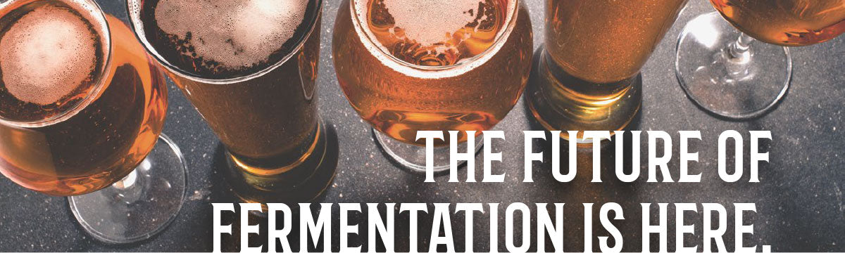 Craft a Brew - The Catalyst Fermentation System Header banner