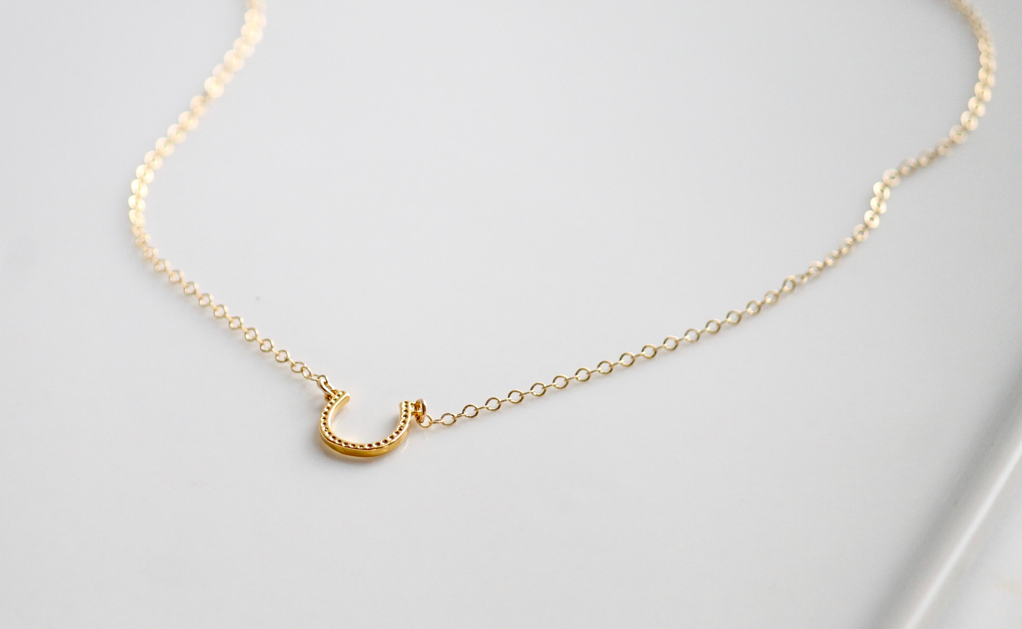 Horseshoe Necklace