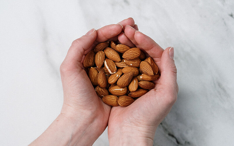 Hand holding almonds